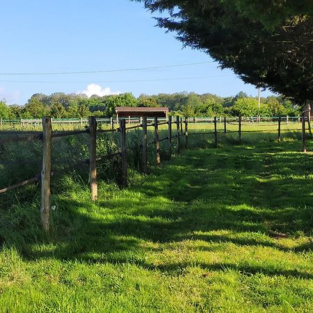 Grand-Fougeray Maison Familiale Domaine Val Leose מראה חיצוני תמונה
